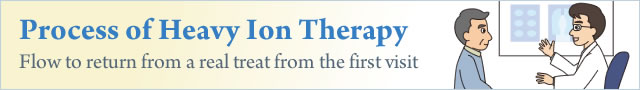 Process of Heavy Ion Therapy